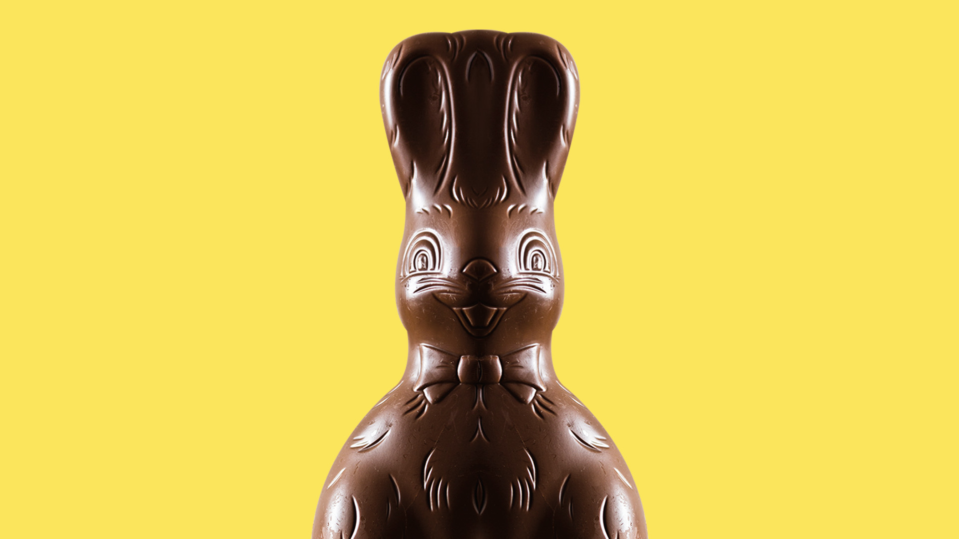 påskehare i chokolade med gul baggrund